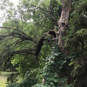 Meet your Posher, Matt